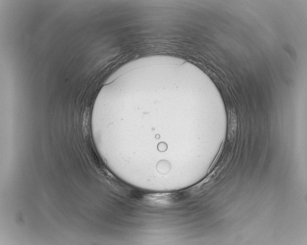 X0000115020082200912071036