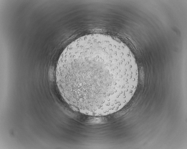 X0000115020083200912071036