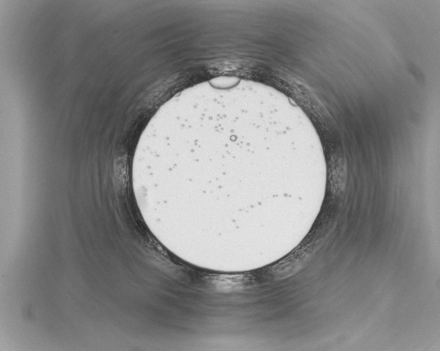 X0000115020085200912071036