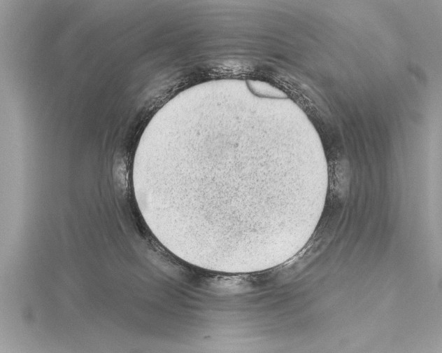 X0000115020086200912071036