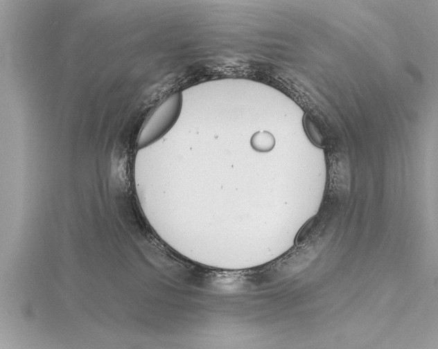 X0000115020088200912071036