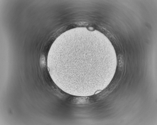 X0000115020089200912071036