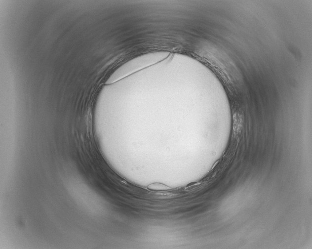 X0000115020095200912071036