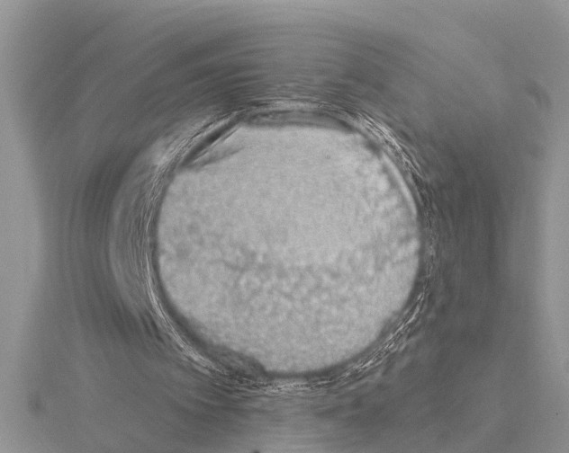 X0000115020097200912071035