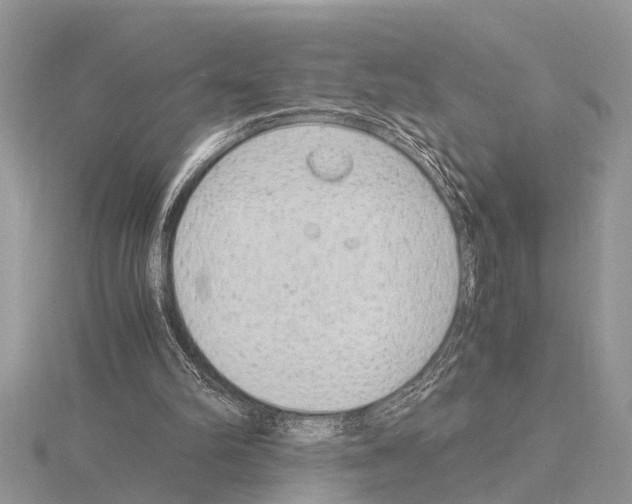 X0000115020102200912071035