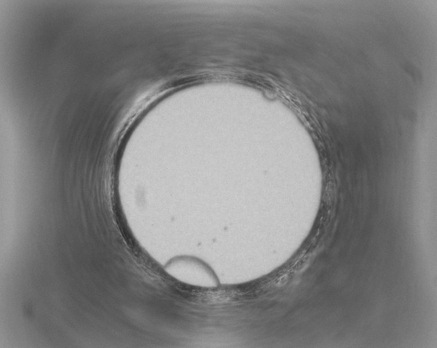 X0000115020103200912071035