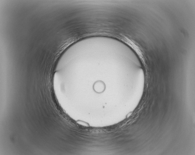 X0000115020105200912071035