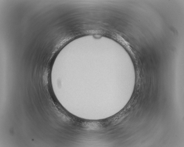 X0000115020106200912071035