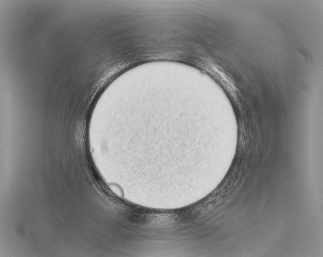 X0000115020107200912071035