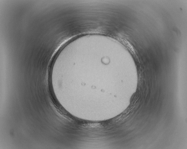 X0000115020108200912071035