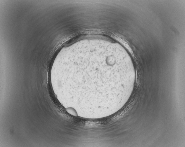 X0000115020109200912071035