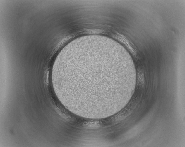 X0000115020110200912071035