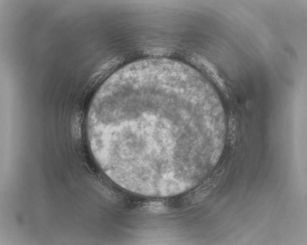 X0000115020114200912071035