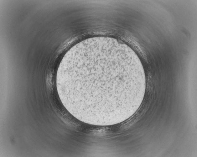 X0000115020116200912071035