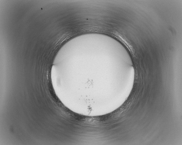 X0000115020117200912071035