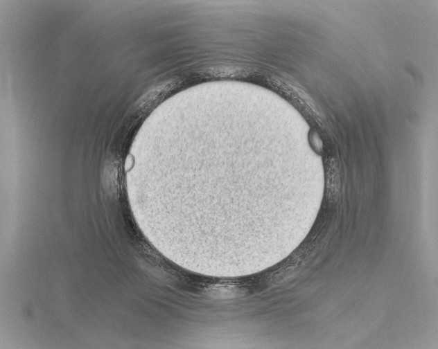 X0000115020119200912071035