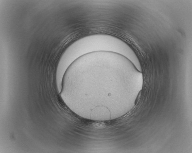 X0000115020124200912071035