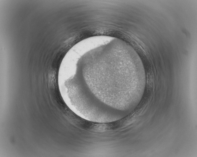 X0000115020127200912071035