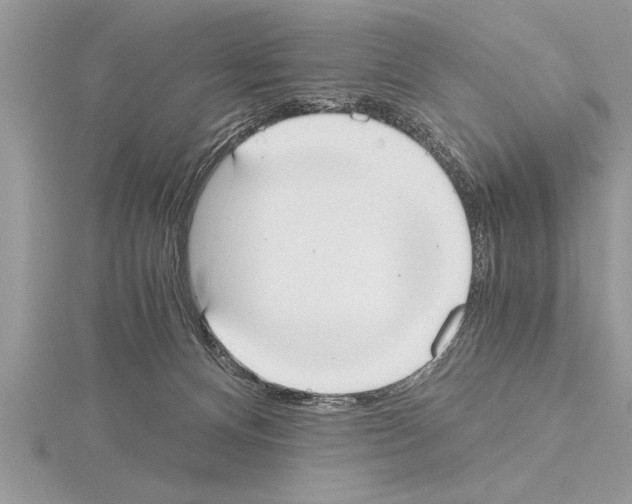 X0000115020128200912071035