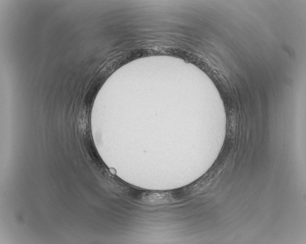 X0000115020129200912071035