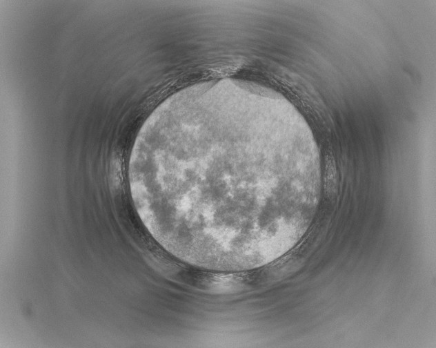 X0000115020130200912071035