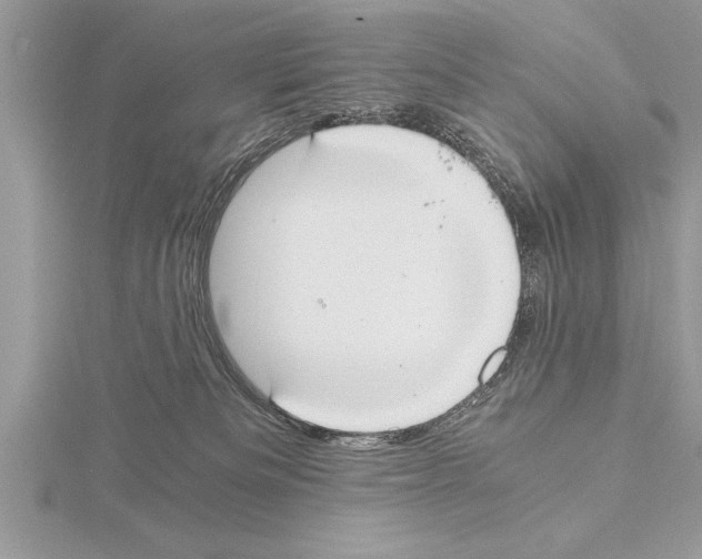 X0000115020133200912071035