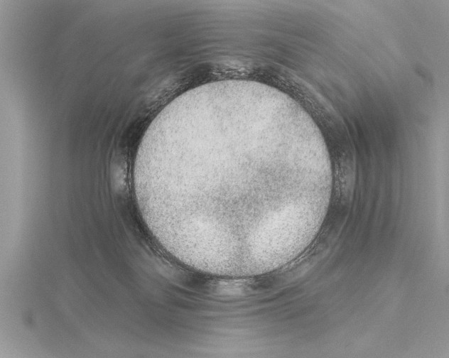 X0000115020134200912071035