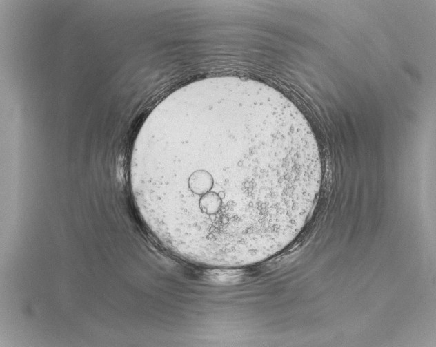 X0000115020135200912071035