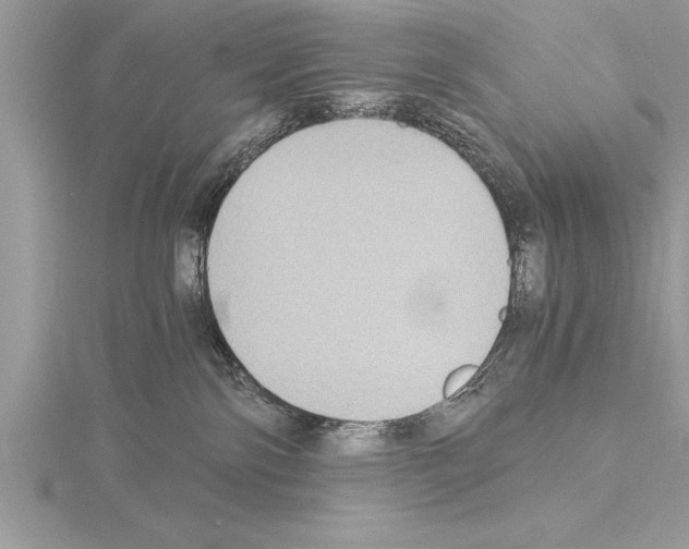 X0000115020138200912071035