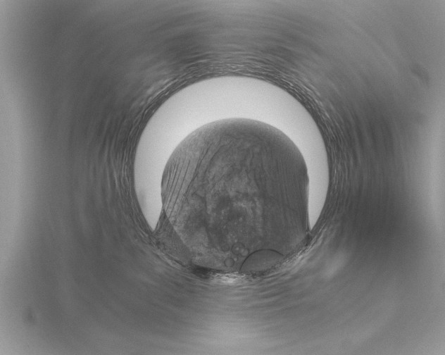 X0000115020139200912071035