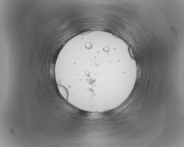 X0000115020141200912071035