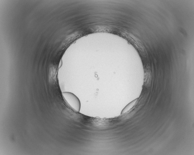 X0000115020142200912071035