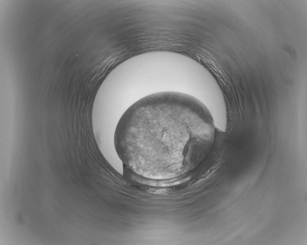 X0000115020143200912071035