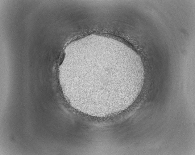 X0000115020144200912071035