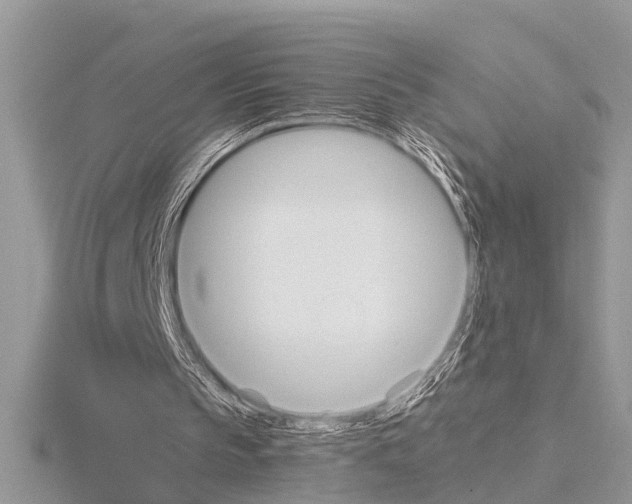 X0000115020145200912071034