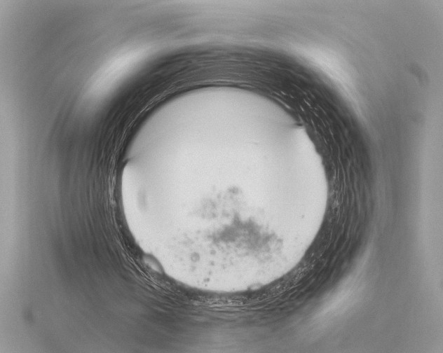 X0000115020146200912071034