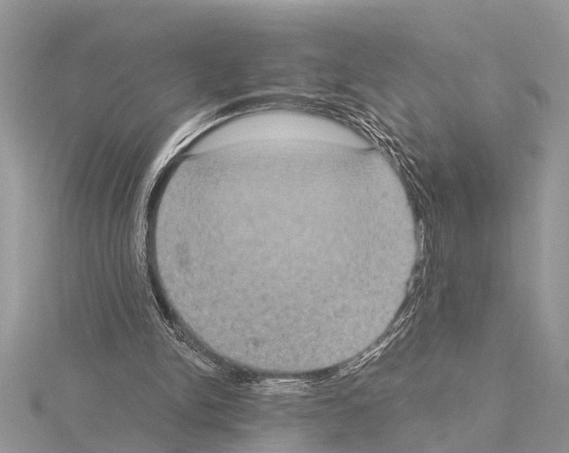 X0000115020150200912071034