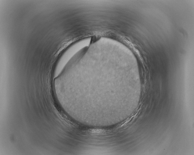 X0000115020154200912071034