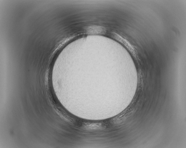 X0000115020155200912071034