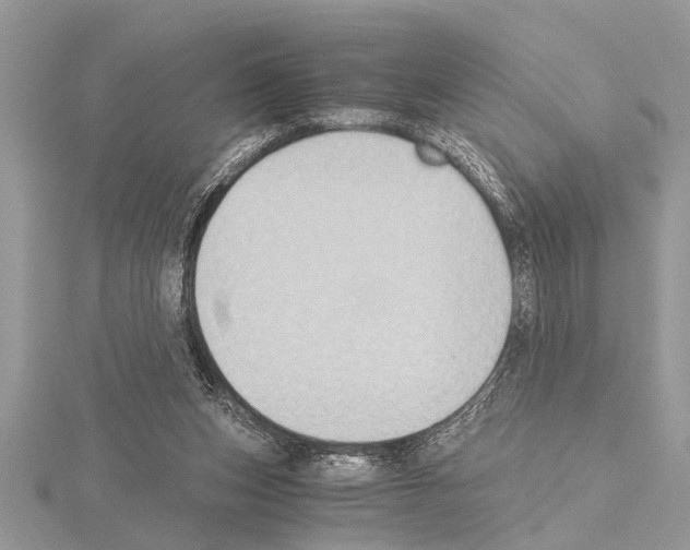 X0000115020159200912071034