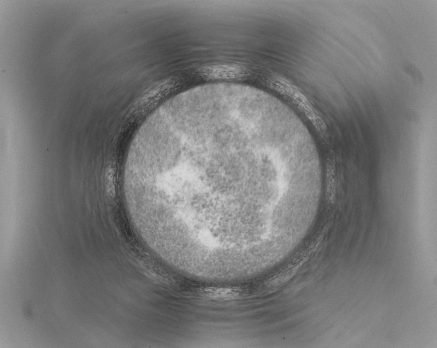 X0000115020161200912071034