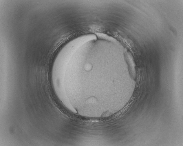 X0000115020162200912071034