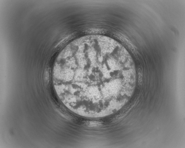 X0000115020165200912071035