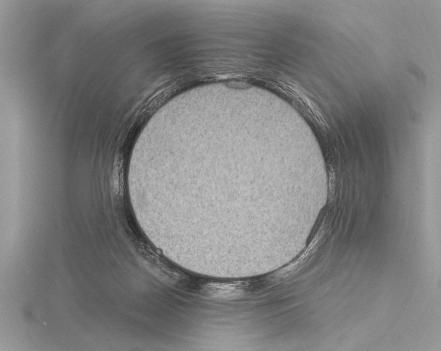 X0000115020170200912071035