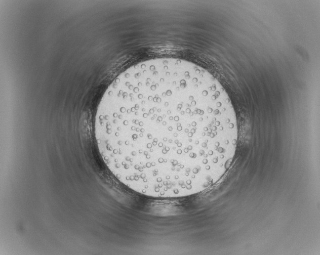 X0000115020179200912071035