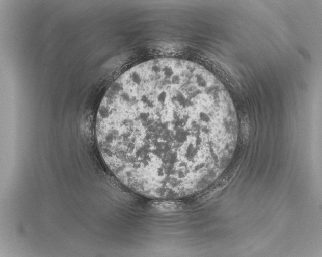 X0000115020181200912071035