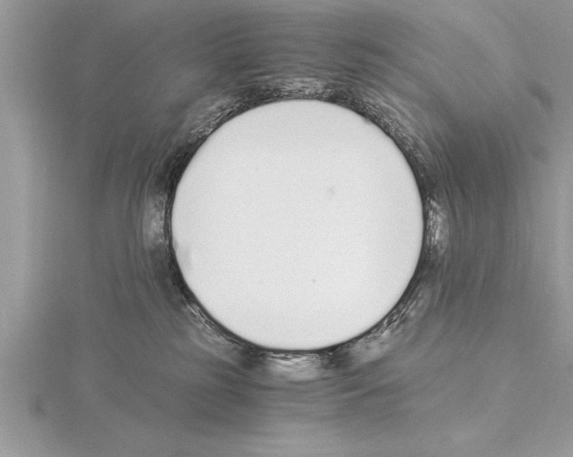 X0000115020185200912071035