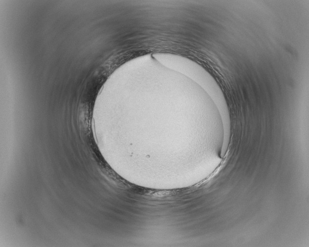 X0000115020186200912071035