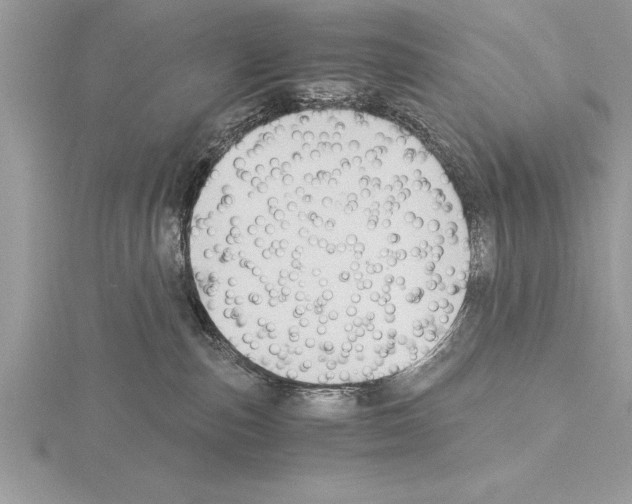 X0000115020187200912071035