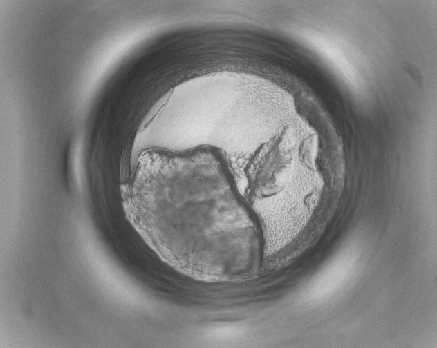 X0000115020189200912071035